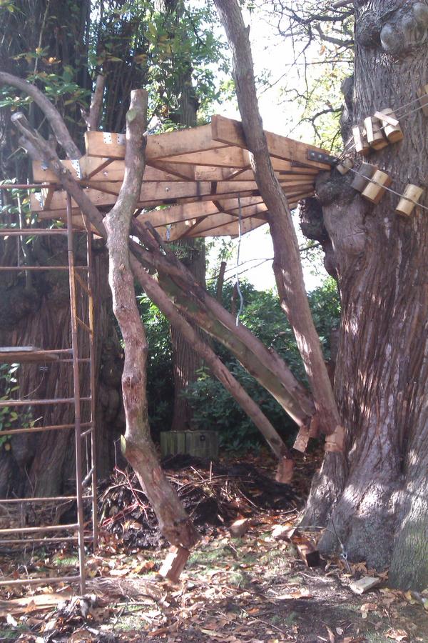 hilary jack tweet media