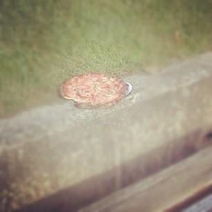 RT @tazigo: The pizza is still at my bus stop.