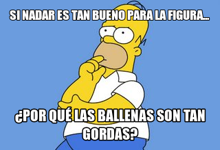 HomeroLodijo's tweet photo. Si nadar es tan bueno para la figura... ¿Por qué las ballenas son tan gordas? #HomeroIntelectual http://t.co/PmhrilyN
