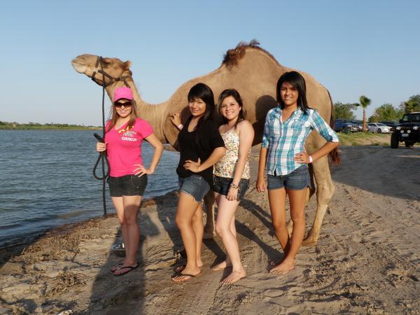 Tomate una foto con Gualo nuestro camello. Solamente aqui en La Isla del Zoo <a href="/CulturalReynosa/">CulturalReynosa</a> #uat <a href="/DIRDEGOBREYNOSA/">DIRDEGOBREYNOSA</a>