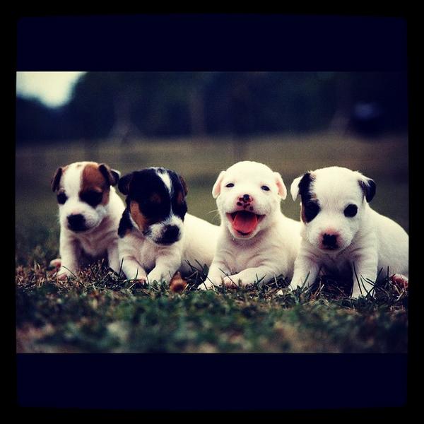 Terrapins's tweet image. I didn’t want to get just one so I got you all of them. Happy Anniversary. 😊 #TextMeThat