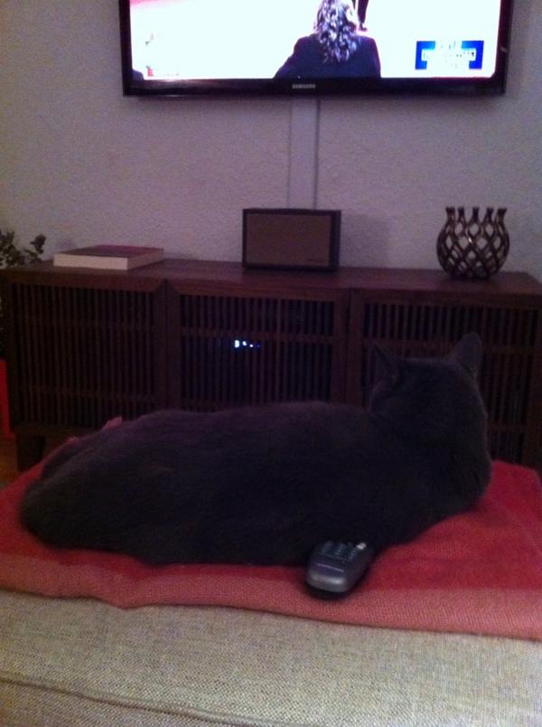 anamariecox's tweet photo. @lovethebay #dialtest http://t.co/UlrvQdUG