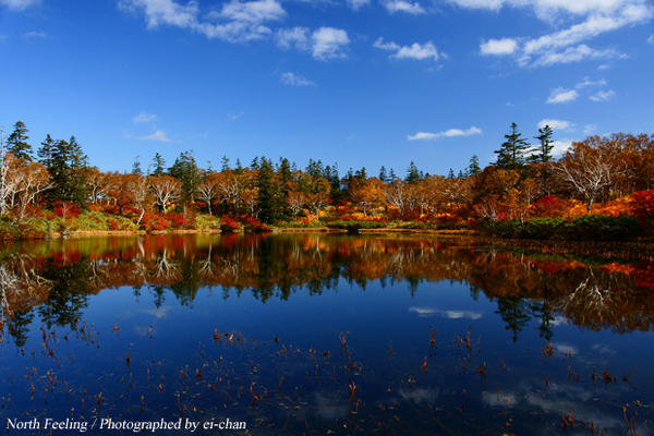 ウィークリーさっぽろ 公式 北海道 紅葉 神仙沼 綺麗な湖と紅葉が織りなす美しさ ここに行く66号線はニセコパノラマラインと呼ばれ 綺麗な景色が続きます 場所 岩内郡共和町前田 P有り Http T Co En0obcjz