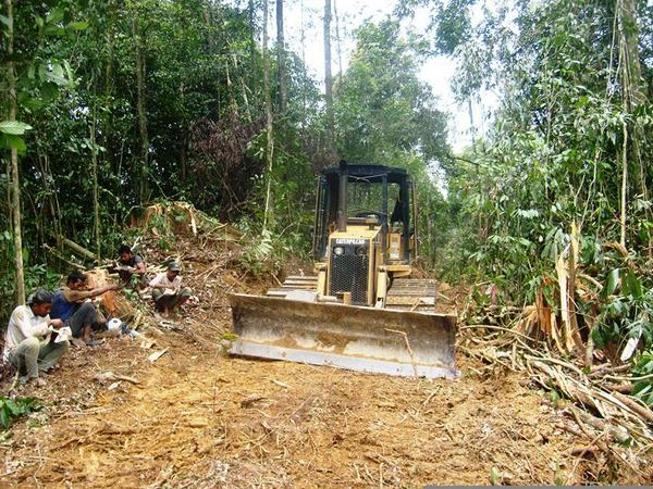 rajapost's tweet photo. Perambahan hutan di Aceh Tamiang terus berlanjut. http://t.co/3RDWcW1a