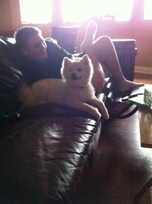 TimbitTheDog tweet picture