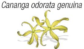 UnionNature tweet picture