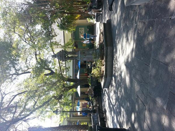 tseesme's tweet photo. Sittin in the park. Listenin to Jazz. #NOLA http://t.co/bS9WztrQ