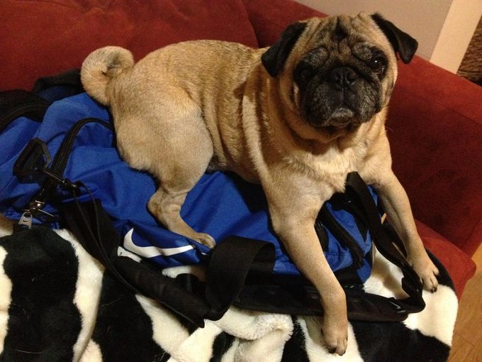 Watch Robert Vito's leaked NSFW photo on TwXstars