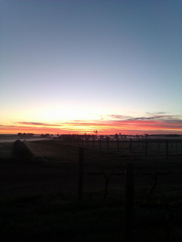 bargs69's tweet image. Good morning everyone