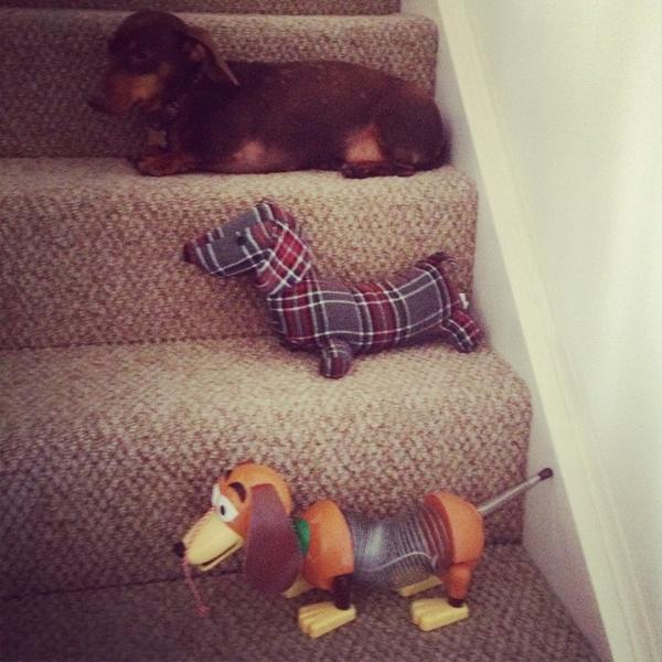 Milo1CoolDream's tweet photo. Me and my mates http://t.co/CJIEtvlz