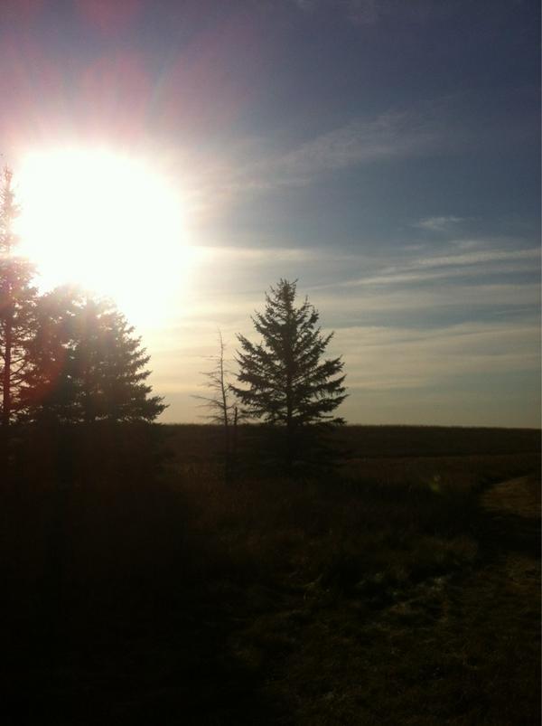 lordfin163's tweet photo. Camp begins at Amisk @163Rovers #scoutscanada #163camp http://t.co/8EWjaqLO