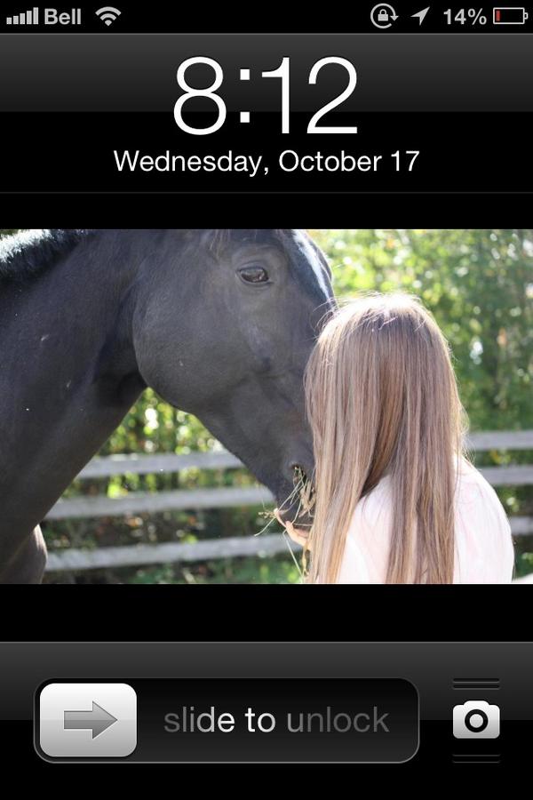 brooke_redmond's tweet image. #TweetYourLockscreen #mobear&amp;lt;3