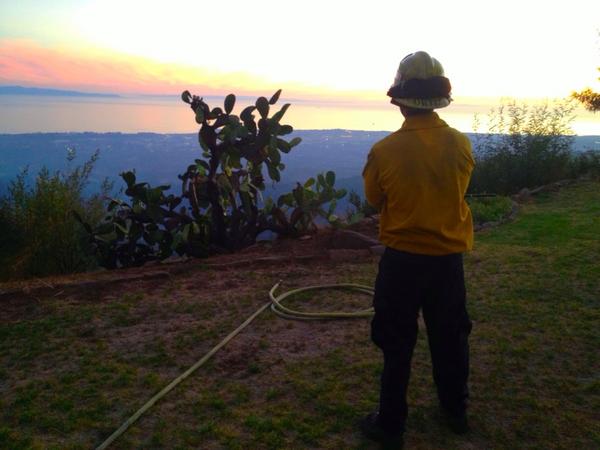 Victoria Sanchez tweet media