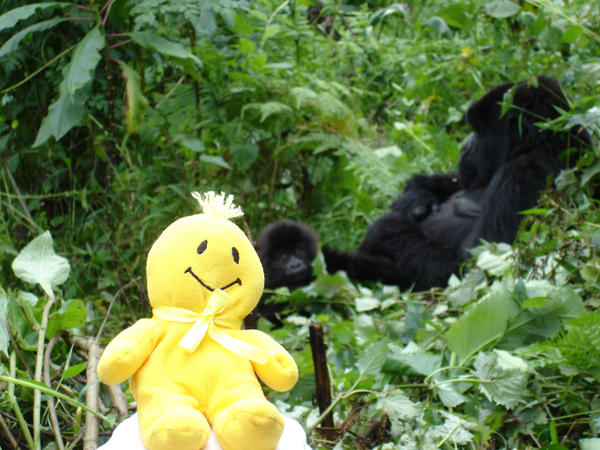TravelingSmiley's tweet photo. http://t.co/QTQZ83O2