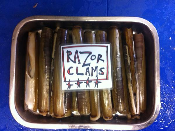 Razor clams, alive ,alive-O !
only £9.90 / kg .
