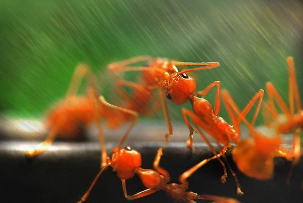 Sense_Light's tweet photo. #تغذية_بصرية #إحساس_الضواء http://t.co/NdHOCBJb