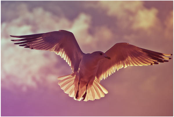 Andrew Russell (@asrphotography) on Twitter photo 