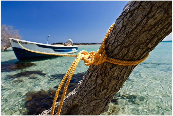 Andrew Russell (@asrphotography) on Twitter photo 