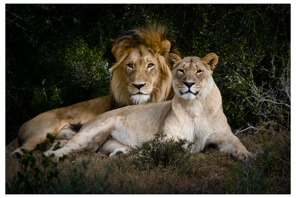 Andrew Russell (@asrphotography) on Twitter photo 