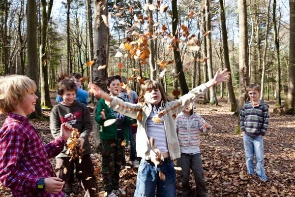 Goblin Combe tweet media