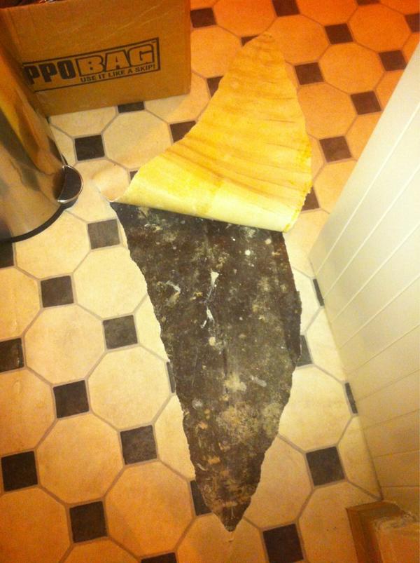 Liam Barry tweet media