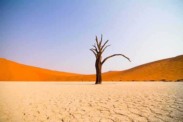 #500pxRT Very lonely tree at Dead Vlei Namibia. Enjoy!