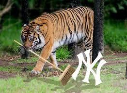 Sweeeeeeeeeep!!!! #WorldSeries  #LetsDoThis http://t.co/DMiUmaZ1<a href="/tag/worldseries"class="tags">#WorldSeries</a><a href="/tag/letsdothis"class="tags">#LetsDoThis</a>