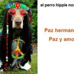 Photo by maria jose rp (@1967200)