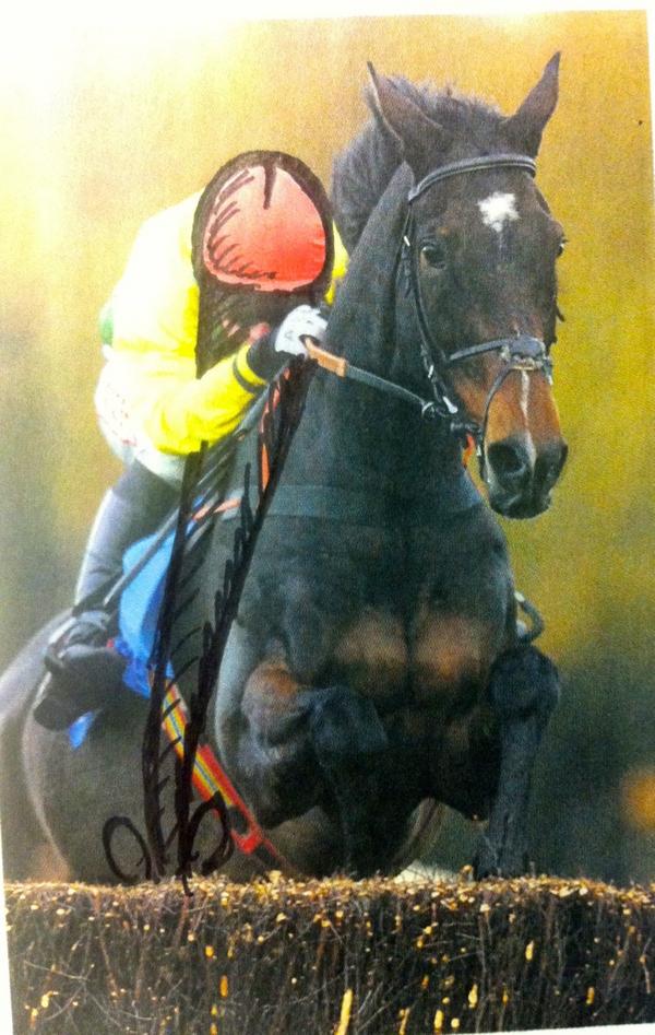 SportCock's tweet photo. Horse racing helmet cock http://t.co/zcAZRB8o