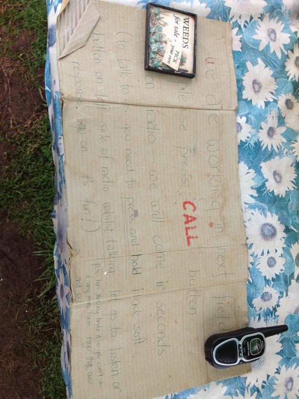 Siu_LinOBrien's tweet image. #teignmouthfarmers #raspberrypicking