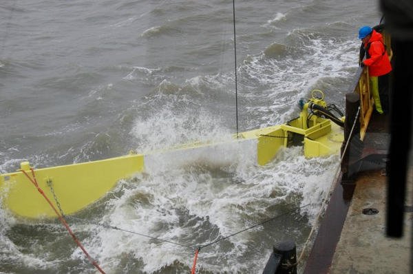 faber02's tweet photo. Olieveegarm langszij de Waddenzee. http://t.co/iIxtEj7a