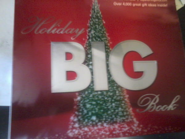 ShannaEdmiston's tweet image. Christmas already.#TheBigBook