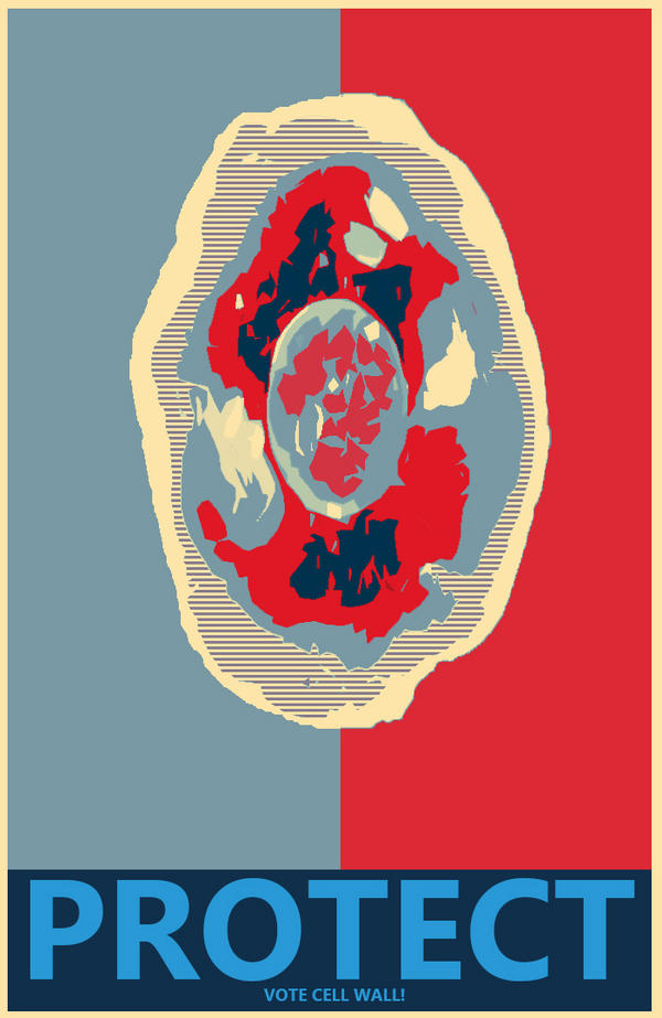 organelle campaign poster paris saint germain valencia candidate flyer