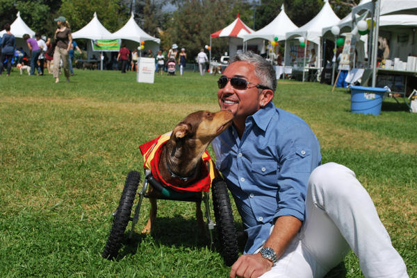 cesarmillan's tweet photo. Dogs don't feel sorry for themselves. They adapt, carry on and can teach us to live in the moment http://t.co/wfkuYAnm