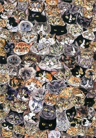 fancykittyy's tweet photo. This makes me happy. http://t.co/N02pDLKa