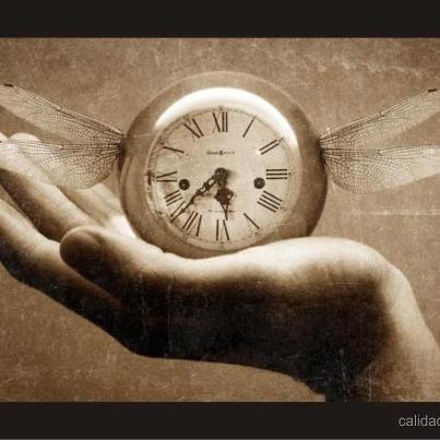 rawemar tweet picture
