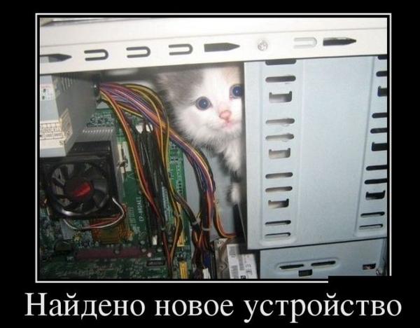 Techavaru's tweet image. 