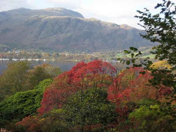 As good as it gets.  Natural wonder at Brantwood.