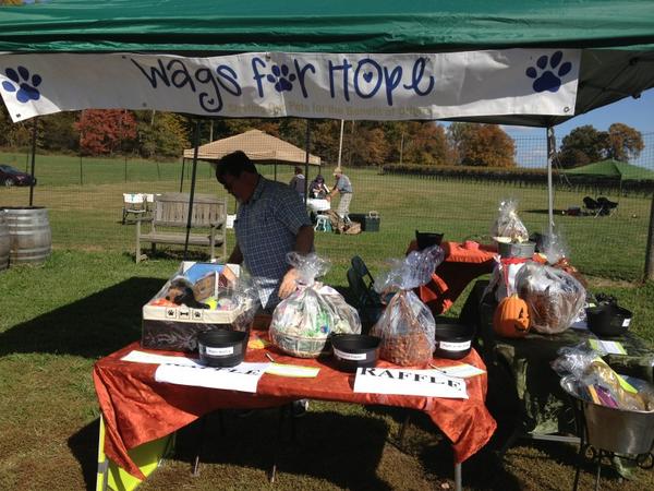 WagsForHope's tweet photo. At the Howl-o-wine, let the raffle party begin! http://t.co/v8l9MADF