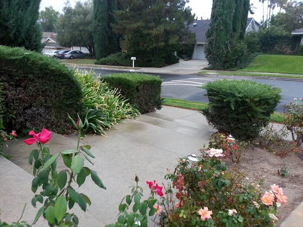 가을비 내리는 토요일 아침..