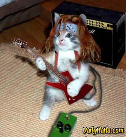 Metal Memes tweet media