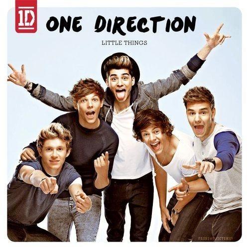 LittleMixDaily_'s tweet photo. #NEW ONE DIRECTION - LITTLE THINGS http://t.co/ZqPQ0pwp