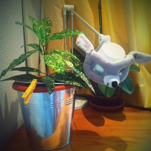 Elena Larriba tweet media