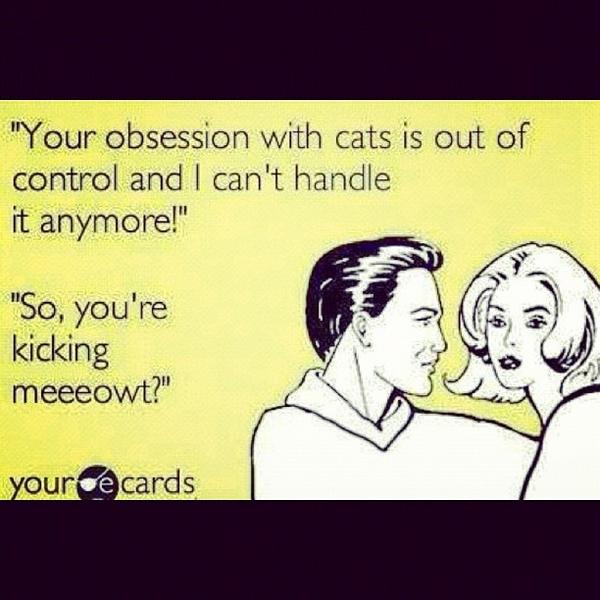 morg_lindsay's tweet image. Ummm...yeah I have a problem. 😺😻😽🙀😿 #catproblem