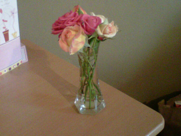 Die blommetjies wat my ma vim geplik ht en <a href="/ririnel/">RIANA NEL</a> se liedjie "soos die son" ht my sopas hoop gegee vidi eindeksamen:)