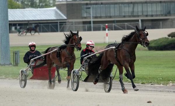 ZaCray13's tweet image. #CatchMeIfYouCan #ProbablyNotThough