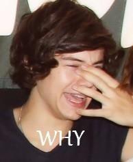 IRolLikeABufalo's tweet image. Why @UnionJworld dont want to folow me? I'm not that fast..it's probbly easy to folow me.. #BadJokes..#ReallyBadJokes