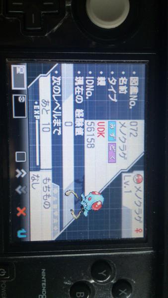 Kaz Otn3011 Gtsで貰ったメノクラゲの親がudk姉貴だった 起訴 あのさぁ イワナ 書かなかった Http T Co Il1jjh2n