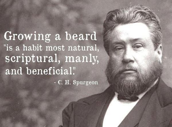 SeaCannon's tweet image. @SaveCubbyBeard @cubbygraham