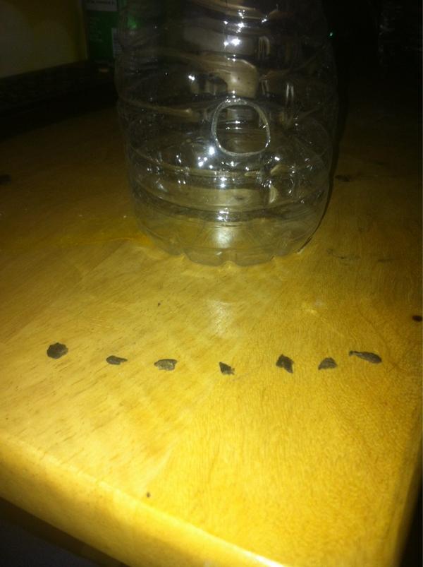 NewGenerationHi's tweet image. Pretty good zombie game ahead!
#stayhigh